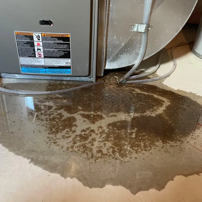 Appliance Leak Cleanup in Coal Grove, OH